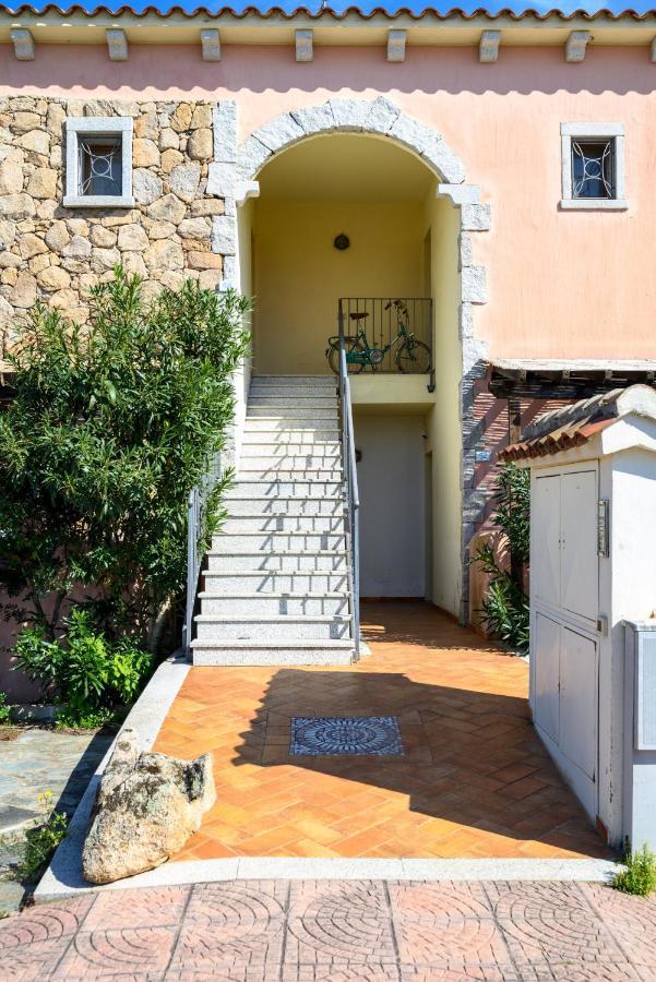 Myrsine 54 - Klodge Olbia