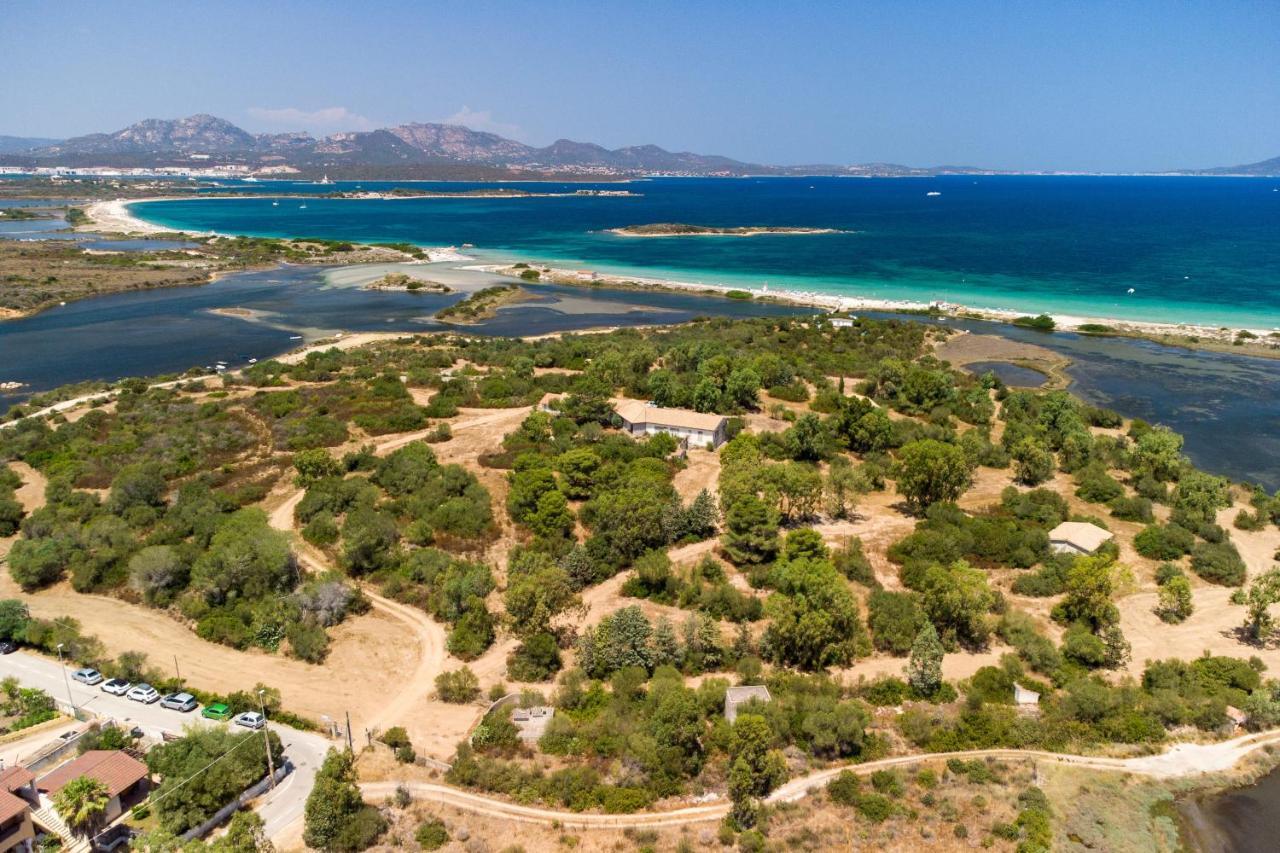 Myrsine 54 - Klodge Olbia