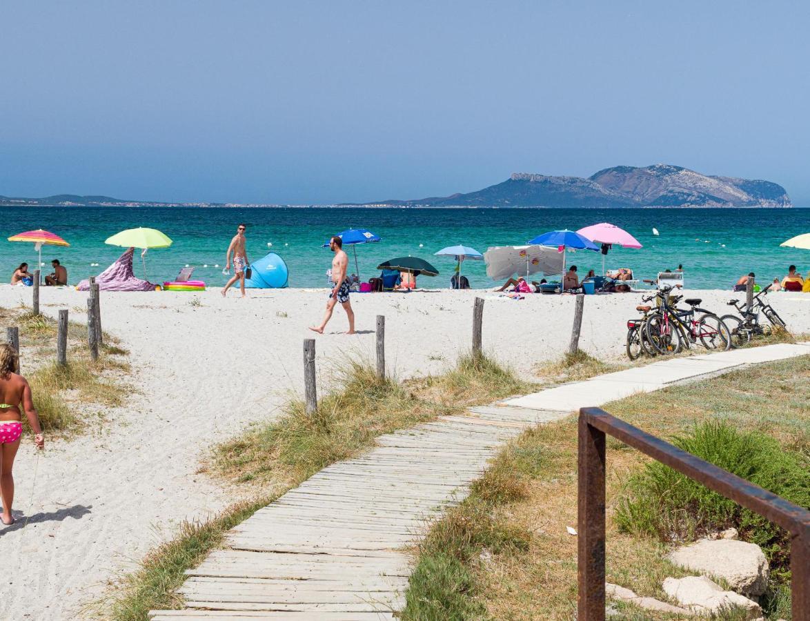 Myrsine 54 - Klodge Olbia